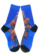 Load image into Gallery viewer, Orange & Blue Dream