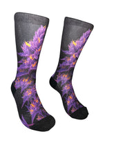 Load image into Gallery viewer, Purple Orange