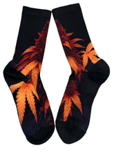 Load image into Gallery viewer, Sun Devil's Lettuce