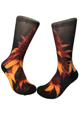 Load image into Gallery viewer, Sun Devil's Lettuce