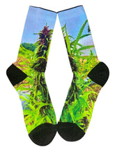 Load image into Gallery viewer, NYC Grow
