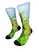 Load image into Gallery viewer, NYC Grow
