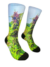 Load image into Gallery viewer, NYC Grow
