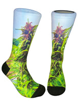 Load image into Gallery viewer, NYC Grow
