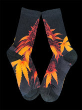 Load image into Gallery viewer, Sun Devil&#39;s Lettuce
