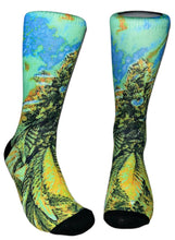 Load image into Gallery viewer, SOUR DEEZ
