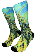 Load image into Gallery viewer, SOUR DEEZ
