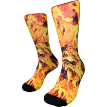 Load image into Gallery viewer, Firey Fire
