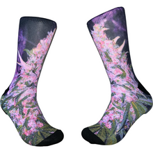 Load image into Gallery viewer, BOTANICA
