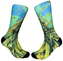 Load image into Gallery viewer, SOUR DEEZ
